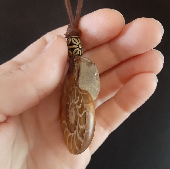 BEAUTIFUL- Real Ammonite Fossil/ Genuine Brown Leather Cord Necklace - Picture 5 of 8